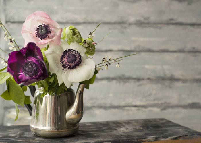 Vintage anemones