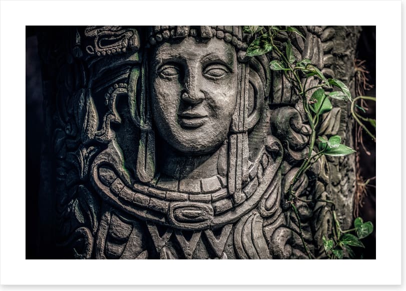 Face of the jungle