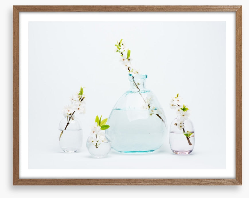 Sprigs of simplicity
