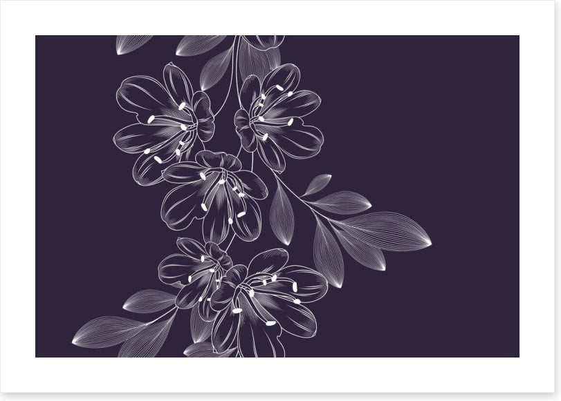 Lily flower flourish