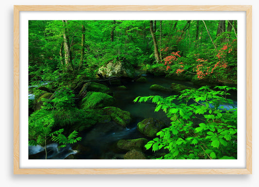 Giving the green light