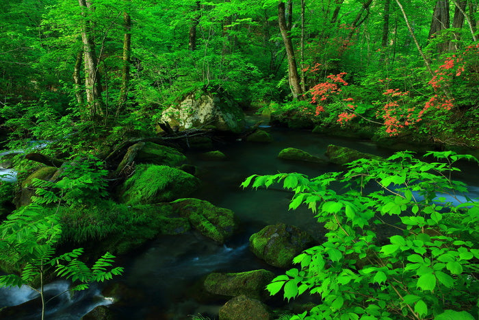 Giving the green light