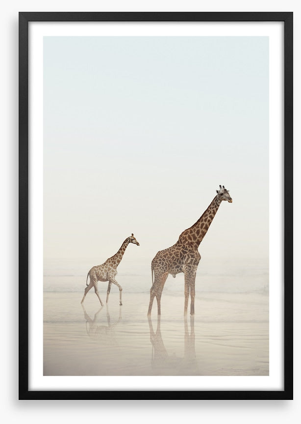 Beach safari