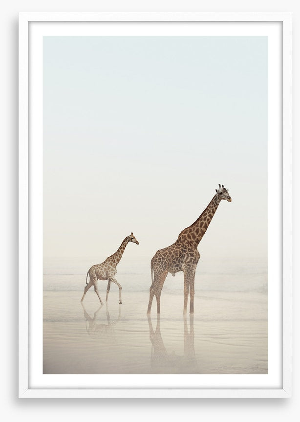 Beach safari