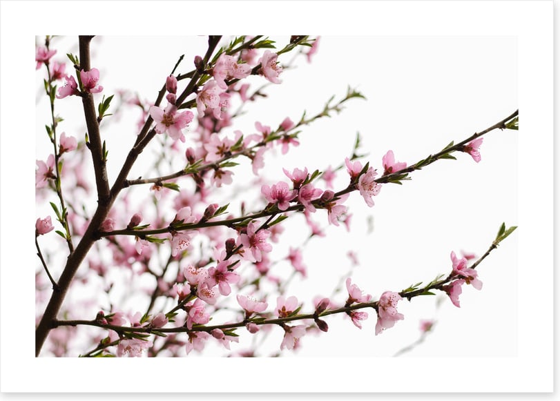 Spring at last