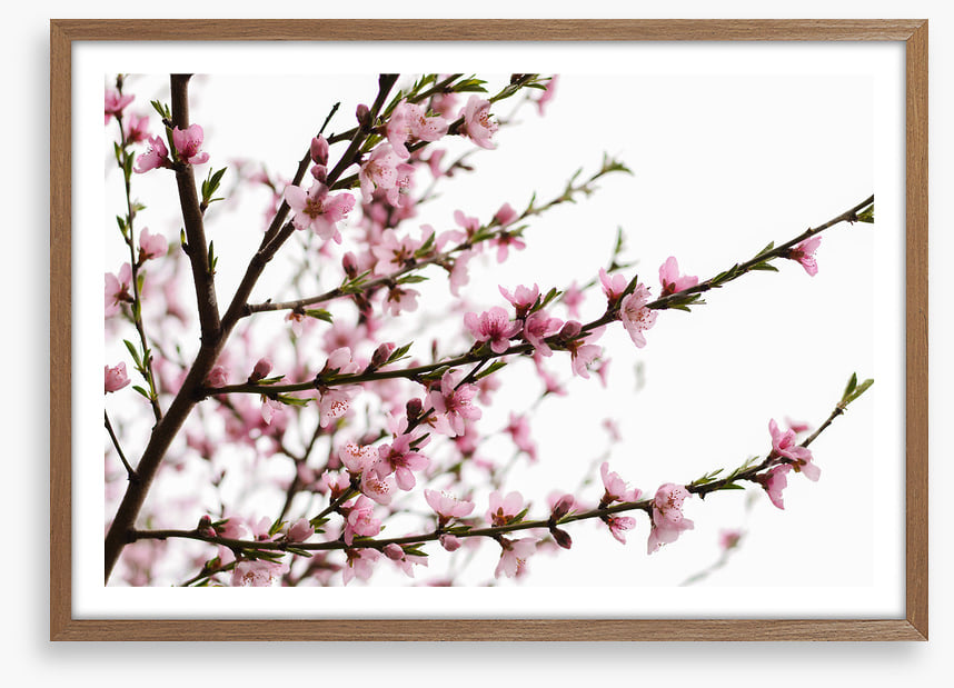 Spring at last