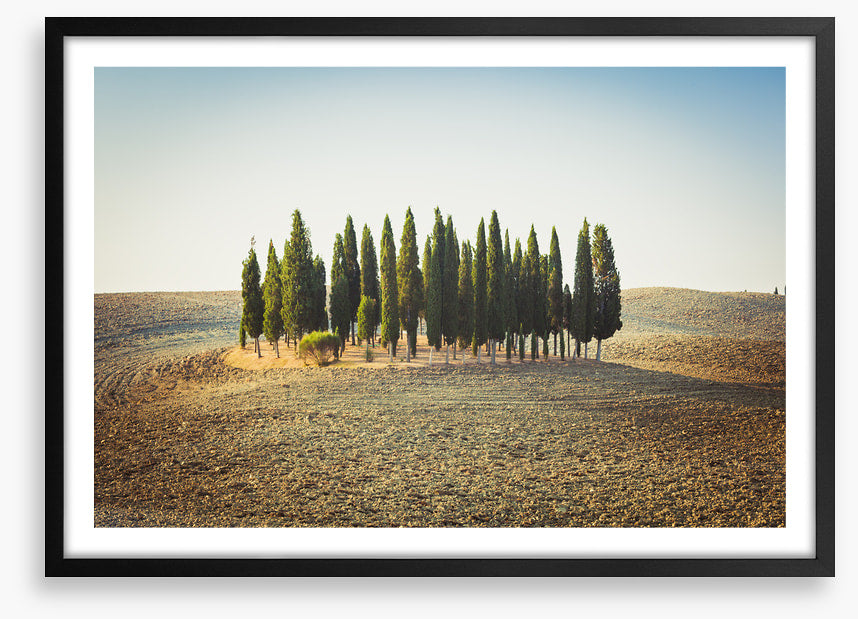 Trees