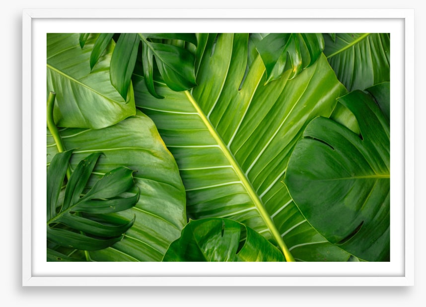 Feeling leafy