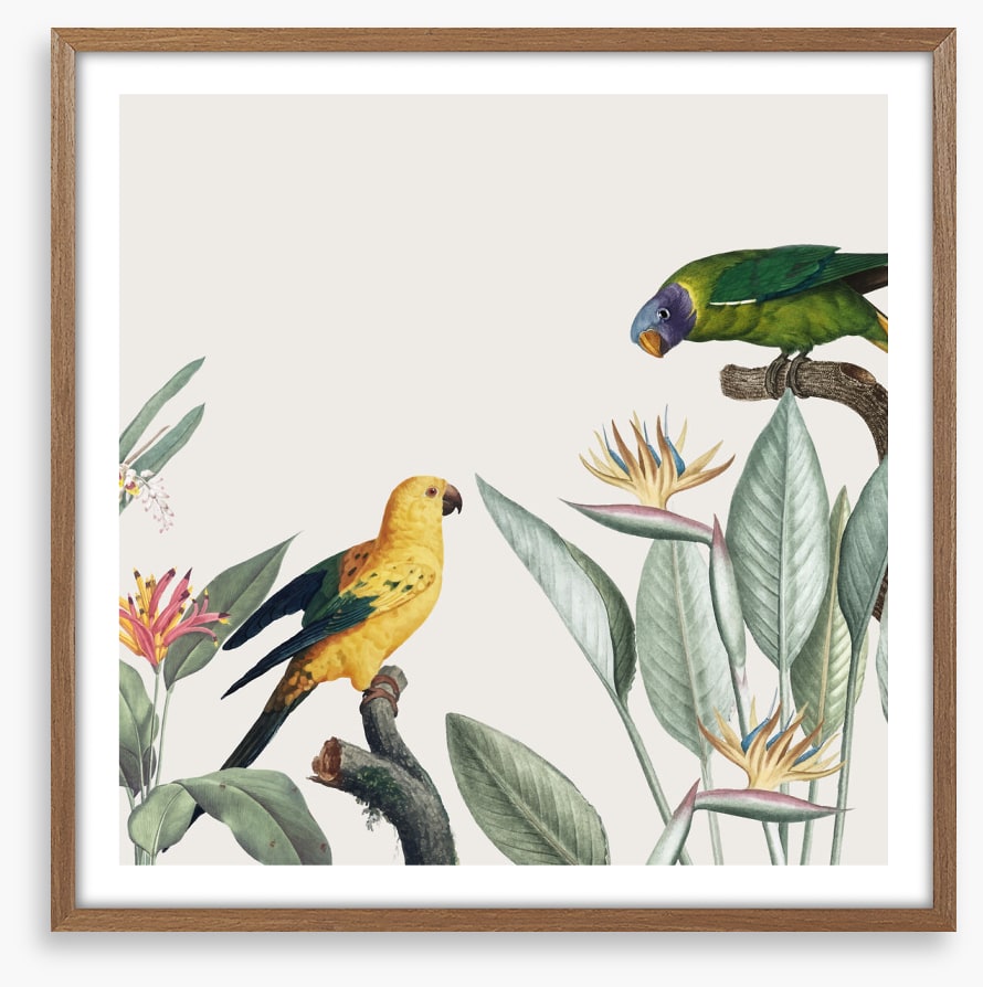 Feathered friends II
