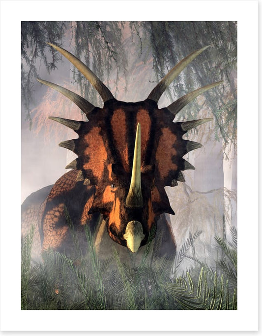 Styracosaurus surprise
