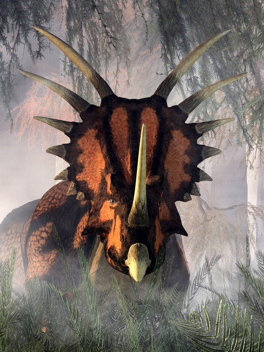Styracosaurus surprise
