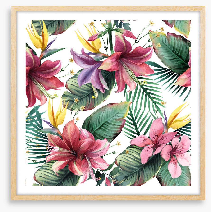 Aloha blooms