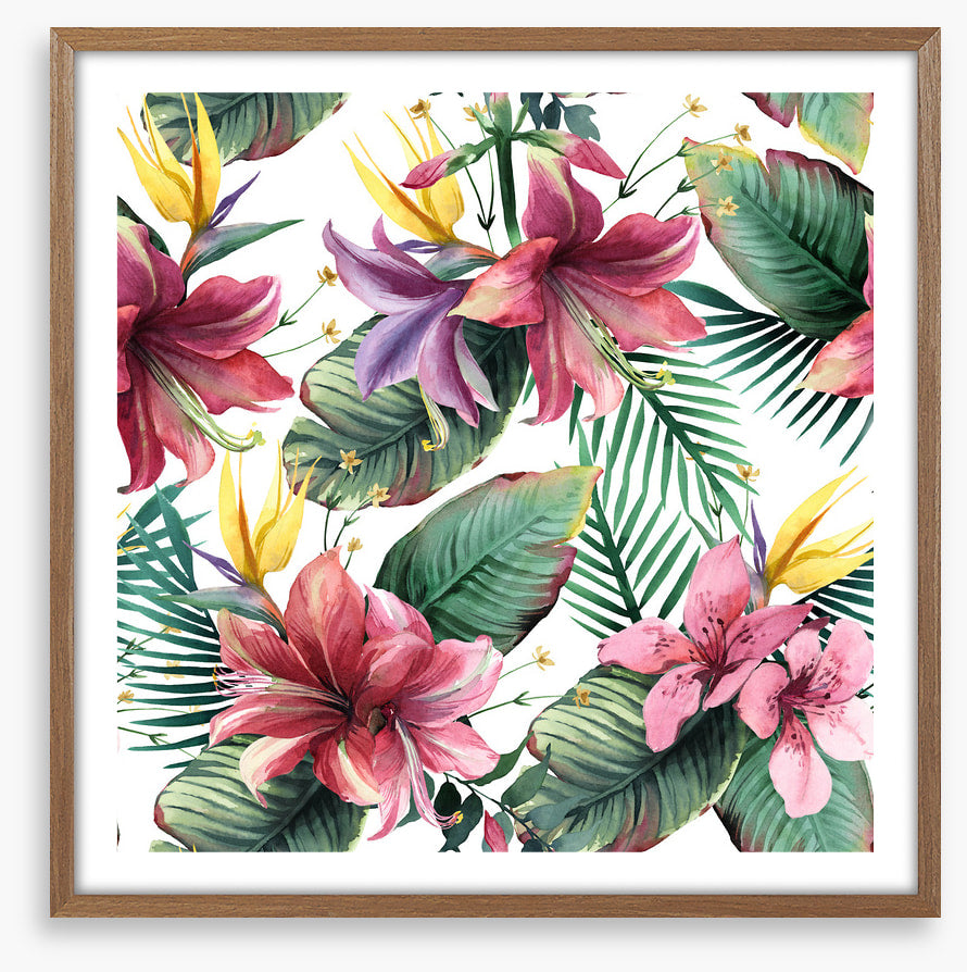 Aloha blooms