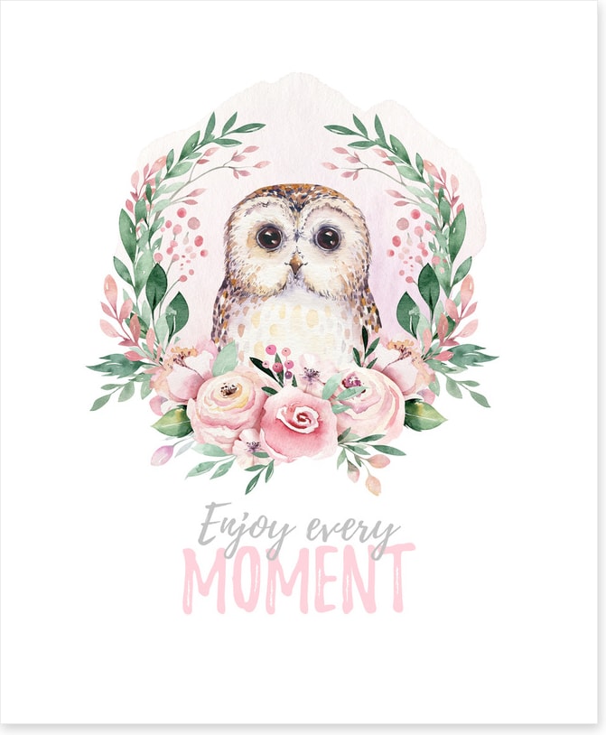 Owl moments