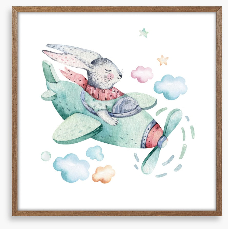 Bunny in a biplane