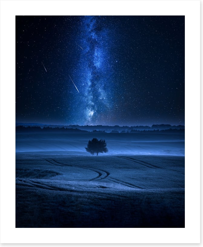 Meteors in the meadow