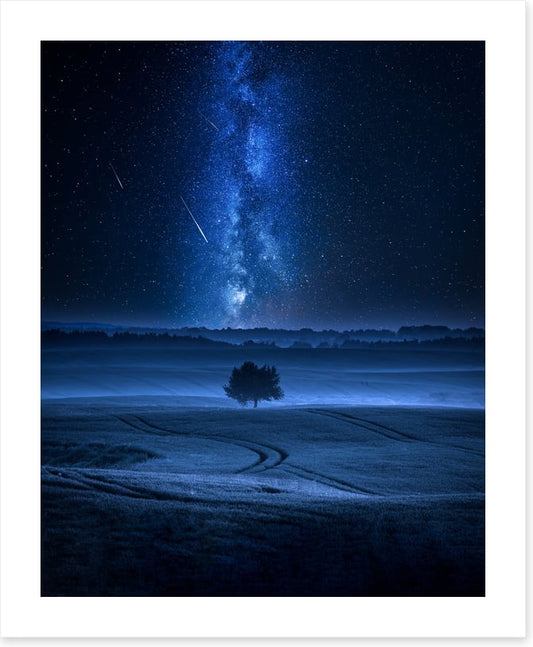 Meteors in the meadow