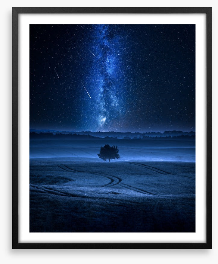 Meteors in the meadow