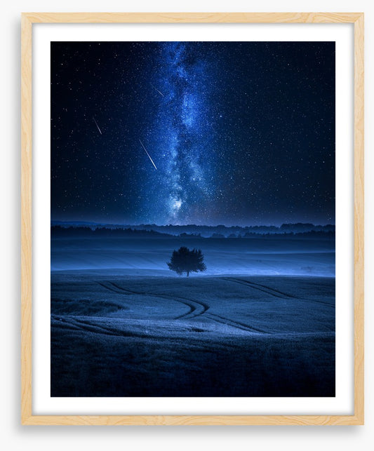 Meteors in the meadow