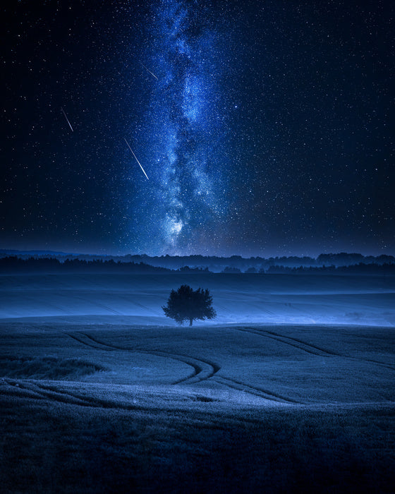 Meteors in the meadow