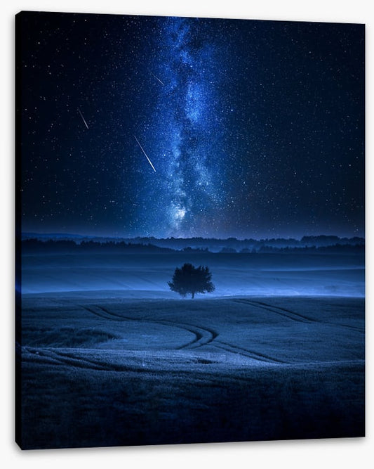 Meteors in the meadow