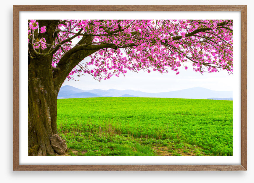 Below the blossom