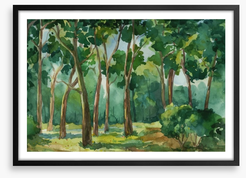 Forest of green
