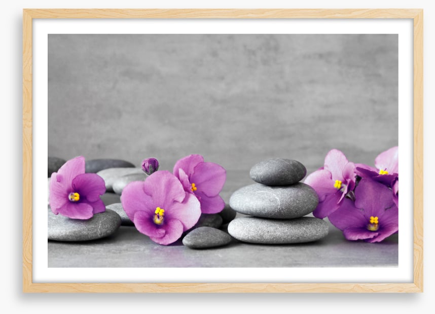 Blooms and balance