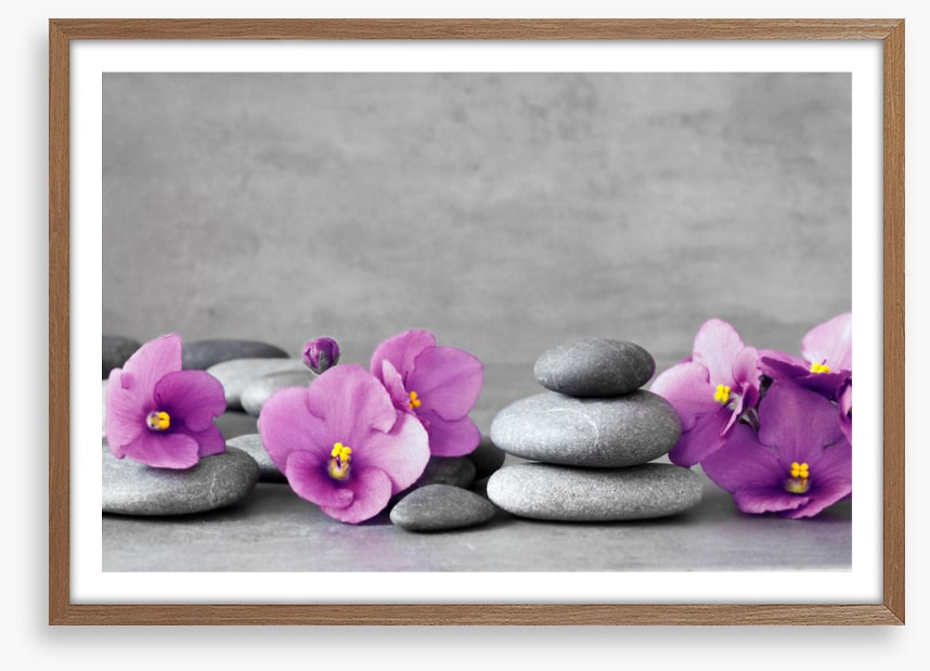 Blooms and balance