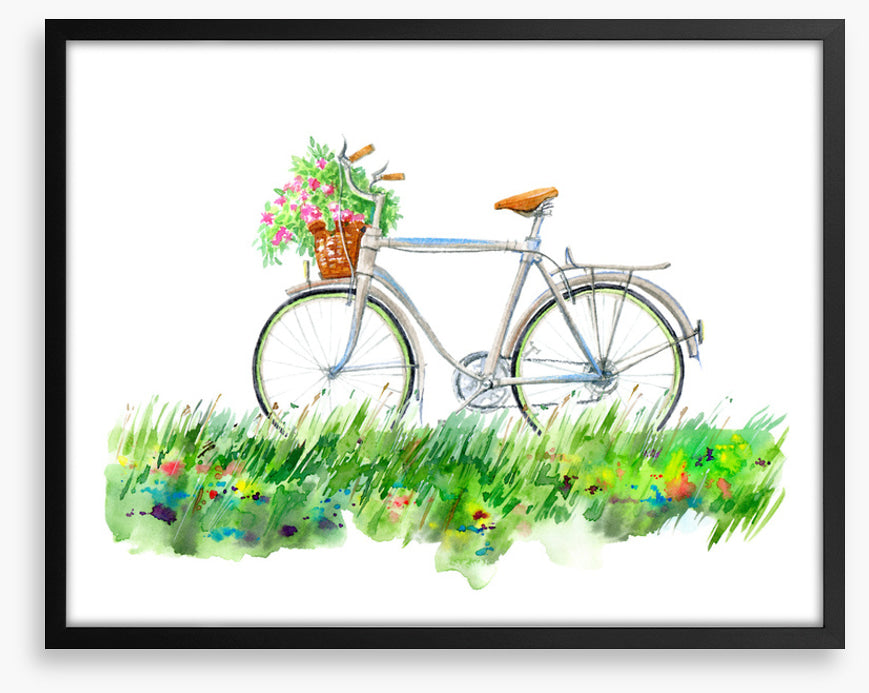 Transport