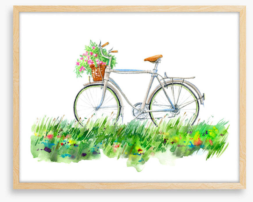 Transport