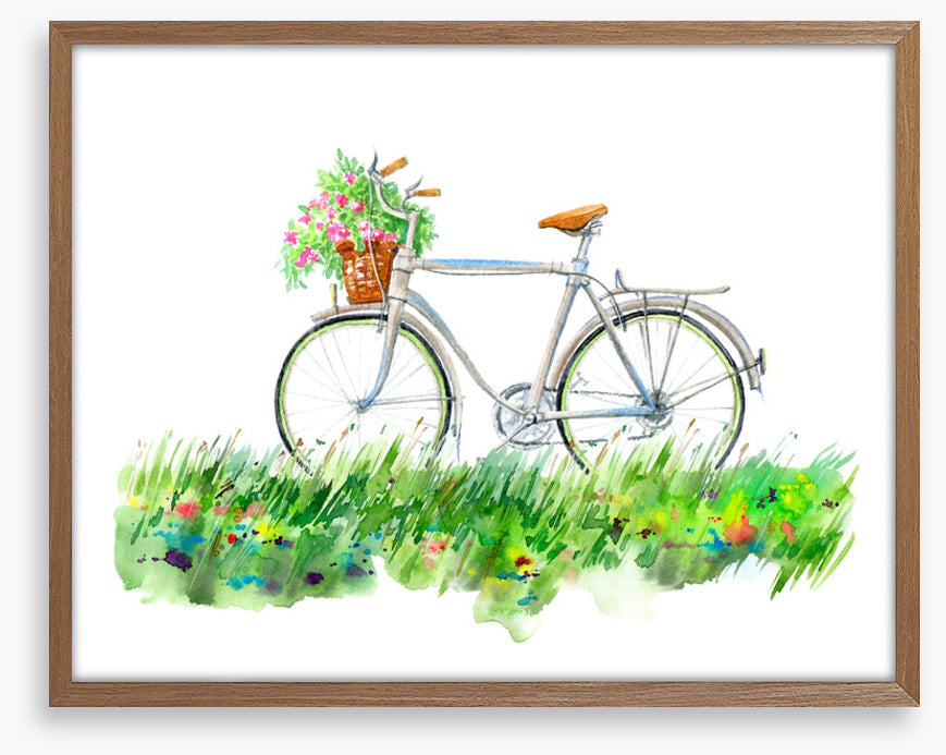 Transport