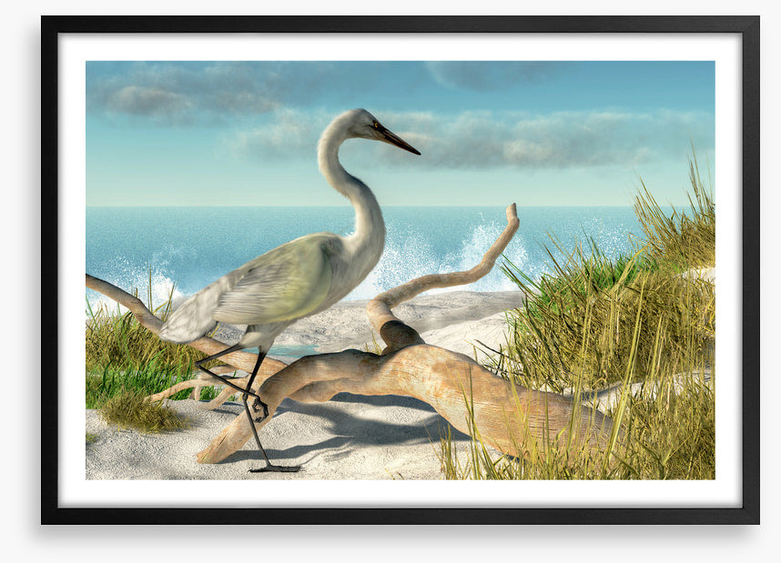 White egret beach