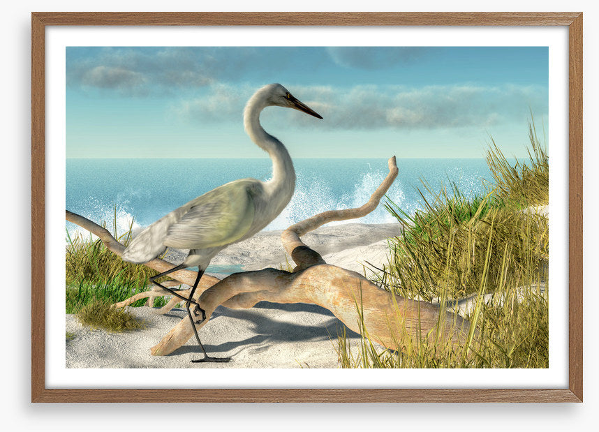 White egret beach