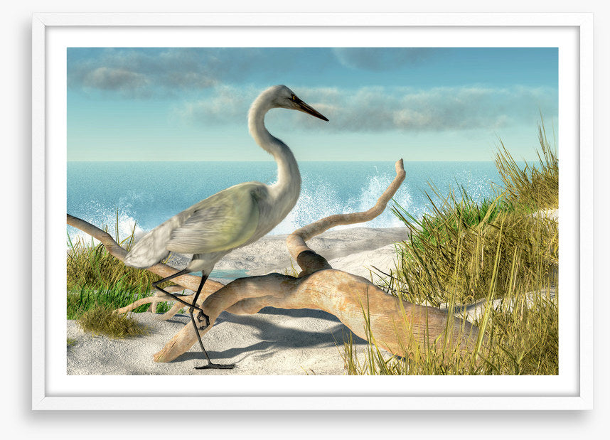 White egret beach