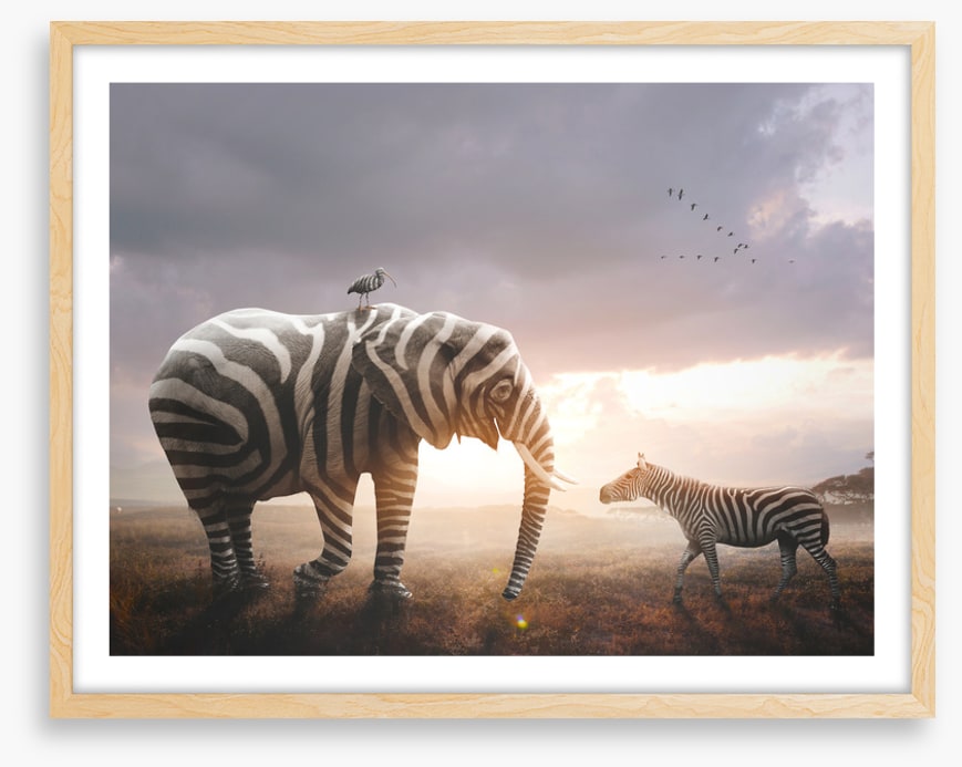 Surprise in stripes