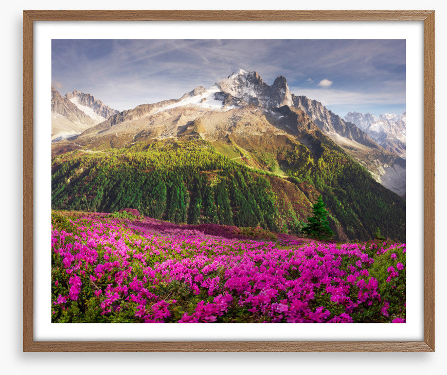 Mountains