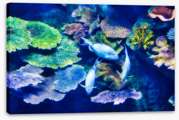 Underwater