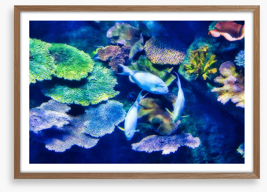 Underwater