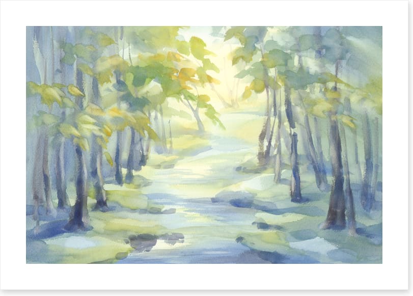Spring river shadows