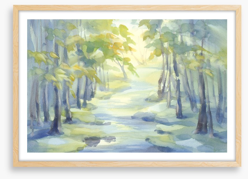 Spring river shadows