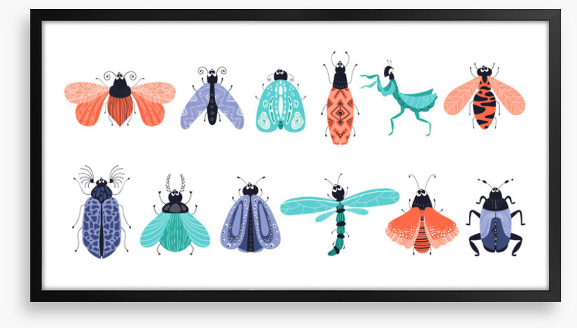 Bug out