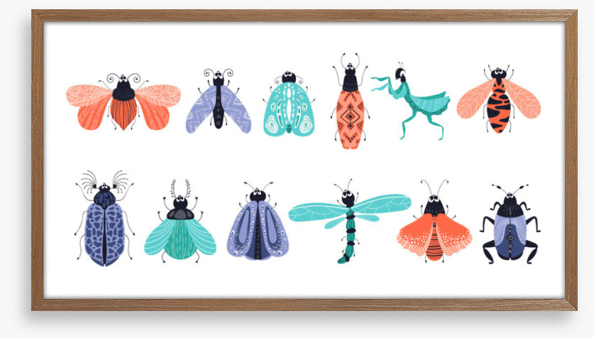Bug out