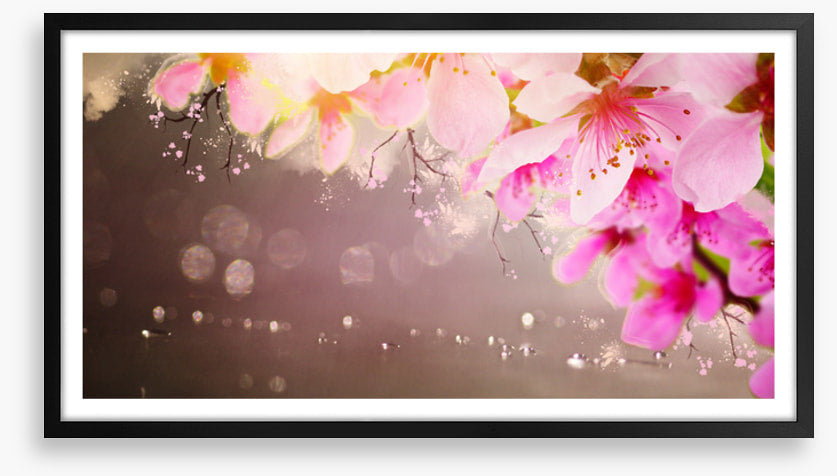 Spring shimmer
