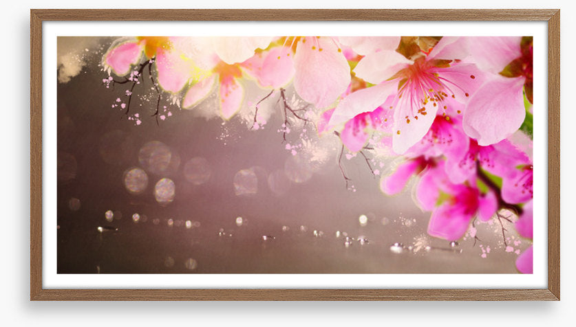 Spring shimmer
