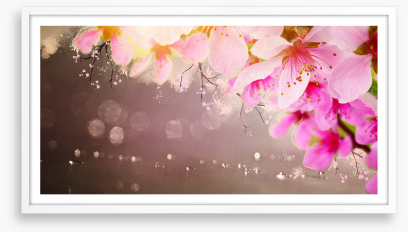 Spring shimmer