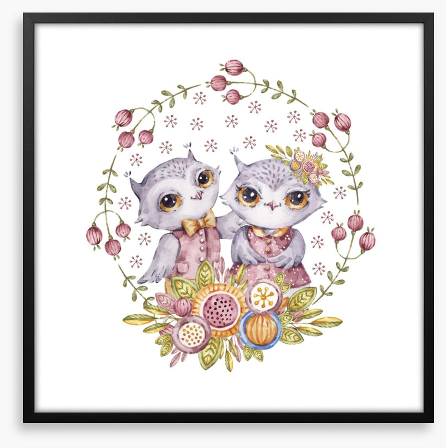 Owls
