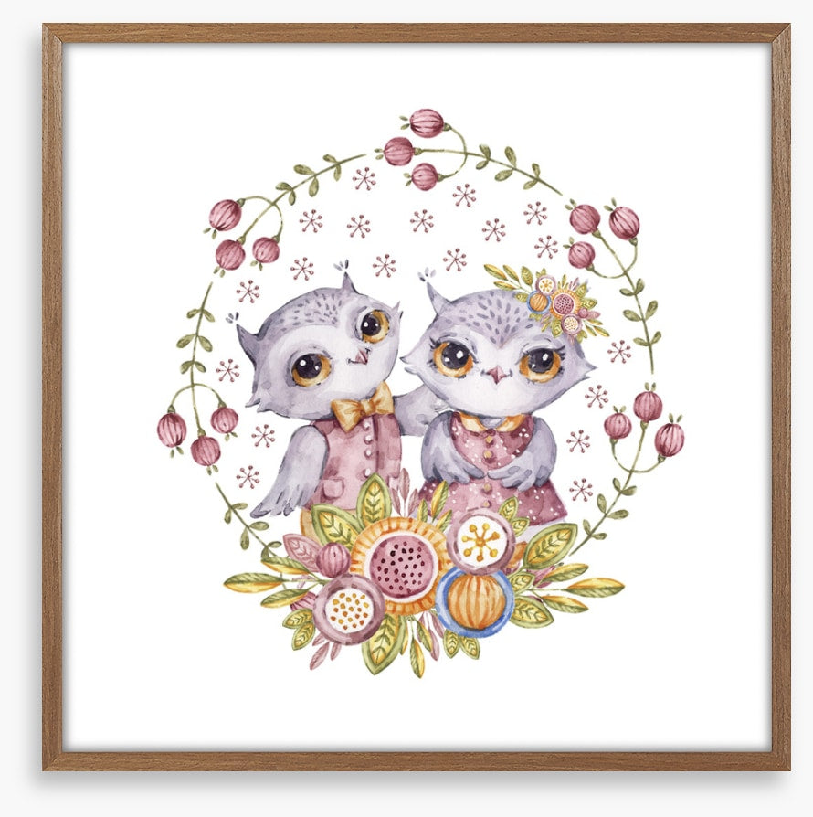 Owls