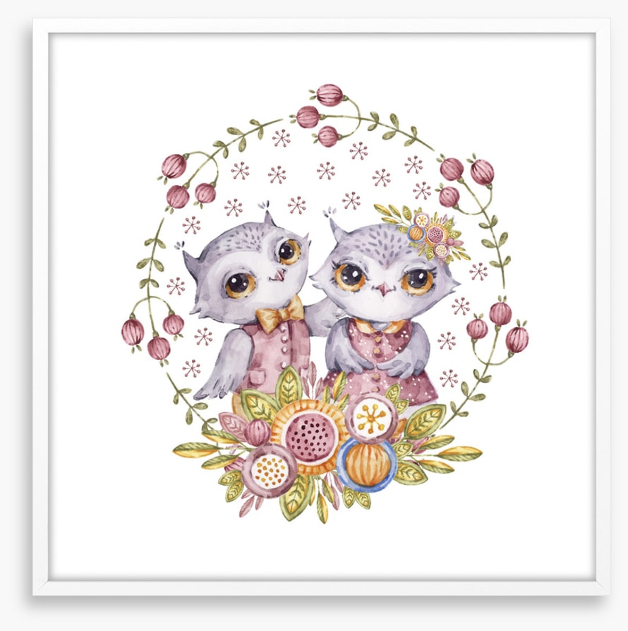 Owls