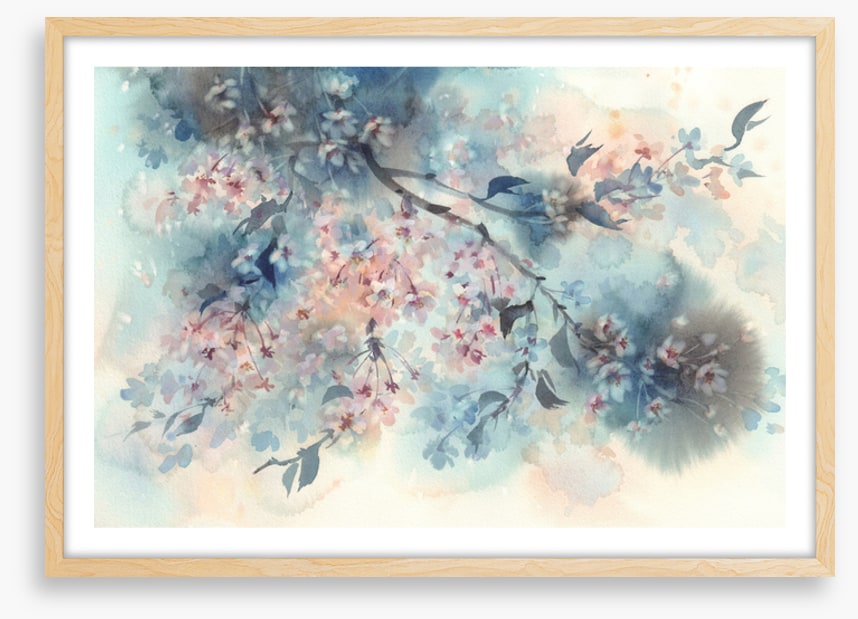 Sakura shower